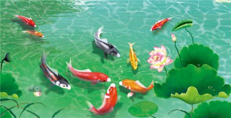龍魚背景圖墻紙高清，龍魚壁紙設計教程高清龍魚壁紙排行高清龍魚壁紙排行