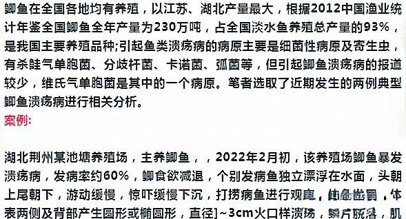 龍魚嘴巴爛會傳染嗎？