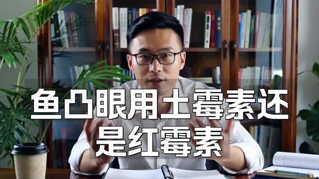 龍魚凸眼病有哪些特效藥