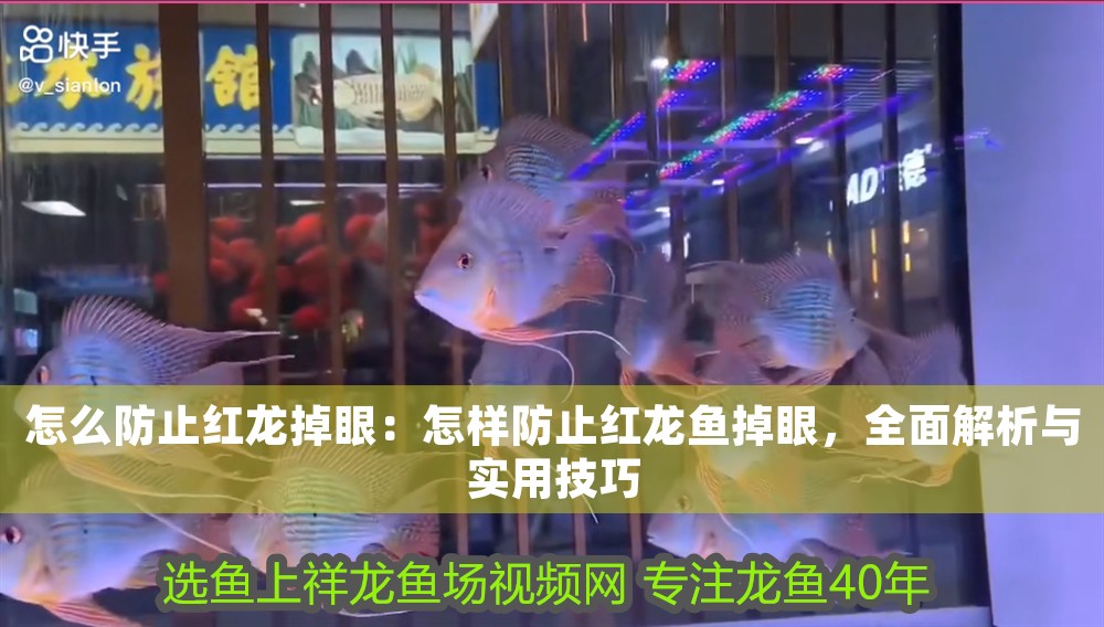 怎么防止紅龍掉眼：怎樣防止紅龍魚掉眼，全面解析與實用技巧