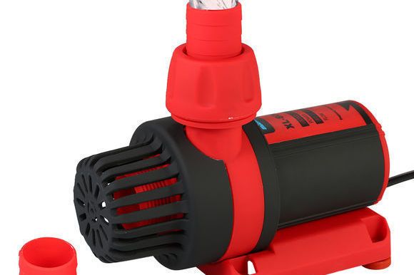 金龍魚(yú)是哪個(gè)國(guó)家的品牌知乎（金龍魚(yú)是哪個(gè)國(guó)家的品牌?）