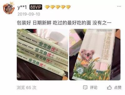 金龍魚能不能吃雞蛋：金龍魚可以吃雞蛋嗎