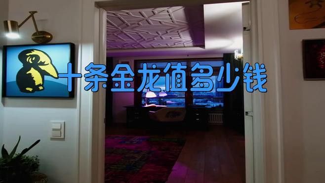 金龍魚回收價格查詢 金龍魚回收價格查詢 龍魚百科 第2張
