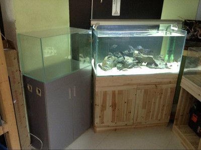 彩蝶魚缸型號大全圖片欣賞，彩蝶魚缸品牌對比彩蝶魚缸濾材選擇方法