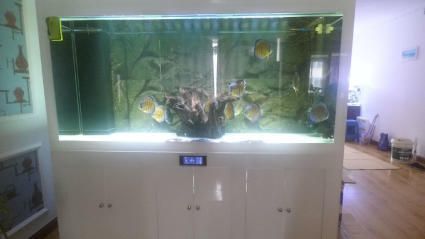 彩蝶魚缸型號大全圖片欣賞，彩蝶魚缸品牌對比彩蝶魚缸濾材選擇方法