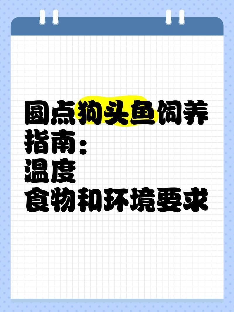 奈及利亞紅圓點最簡單三個步驟