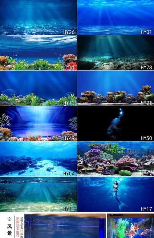 龍魚缸背景圖片高清圖大全