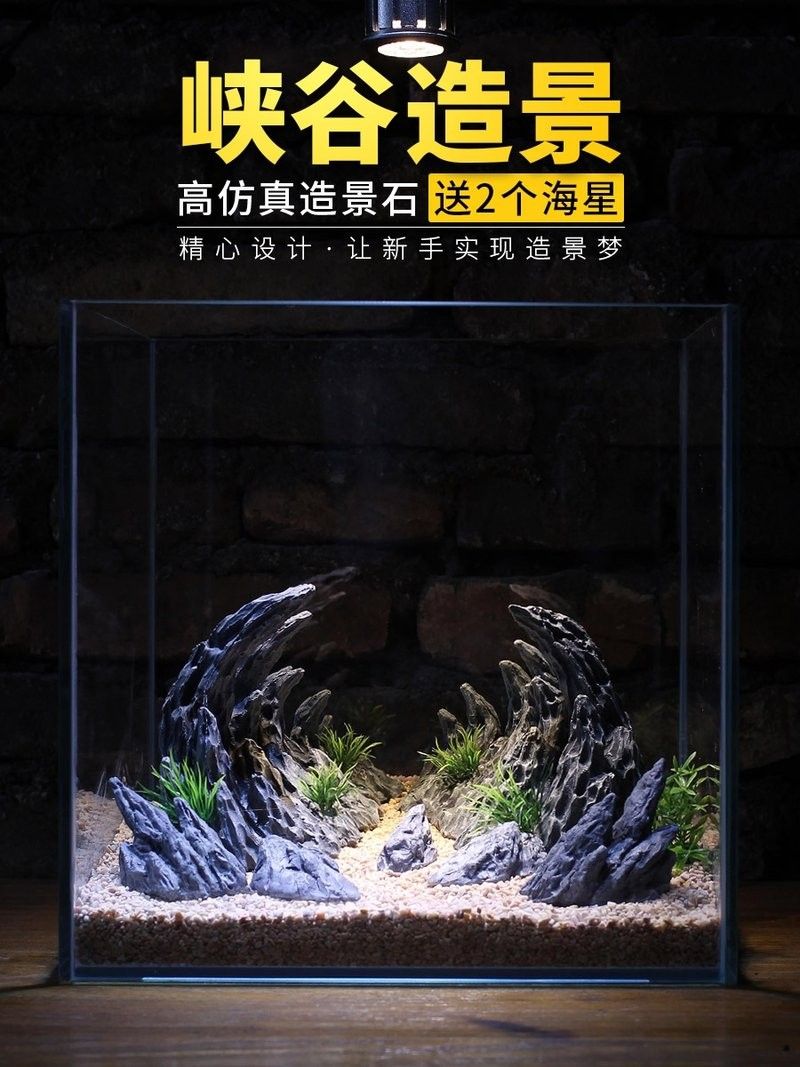 龍魚缸背景圖片高清圖大全