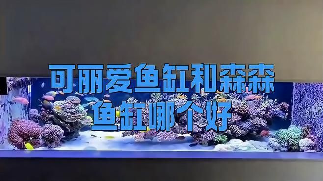 可麗愛和森森買哪個(gè)