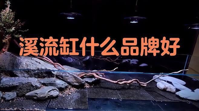 可麗愛和森森買哪個(gè)