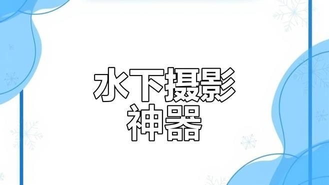 龍魚攝影需要哪些專業設備？
