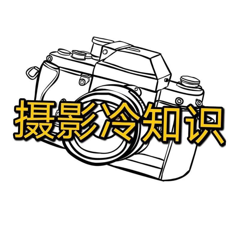 龍魚攝影需要哪些專業設備？