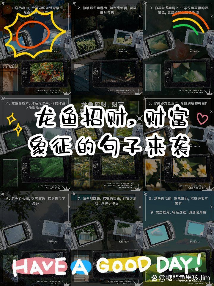 龍魚文案