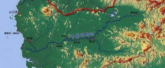 龍魚食用魚：龍魚飼養注意事項，龍魚飼料品牌推薦,