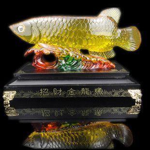 禮品金龍魚，金龍魚作為禮品的適宜性與文化意義