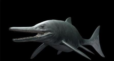 龍魚吃蝦米會死嗎，飼養者需要注意什么：龍魚可以吃蝦米嗎，龍魚吃蝦米會死嗎，飼養者需要注意什么