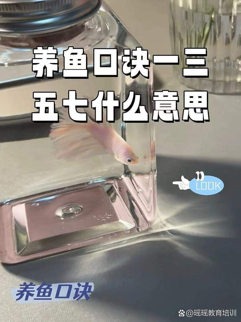 養魚口訣一三五七