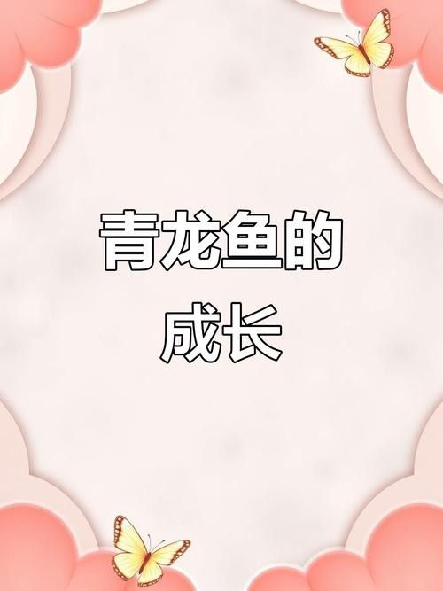 青龍魚圖片大全大圖高清壁紙