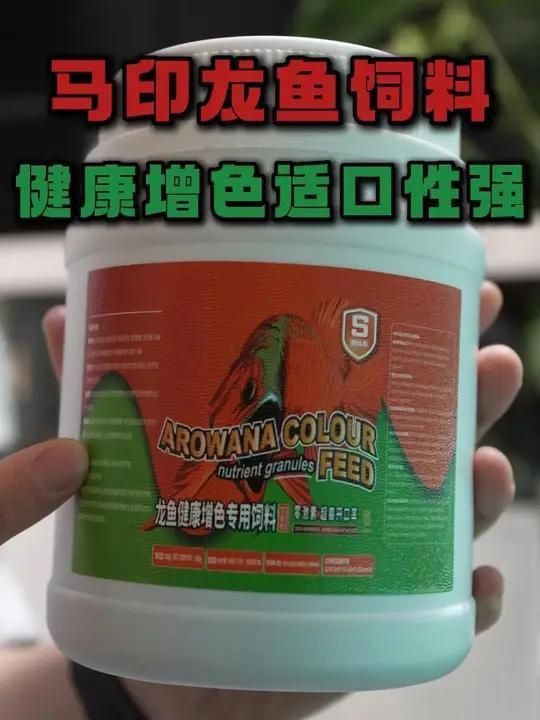 龍魚飼料對發(fā)色的作用