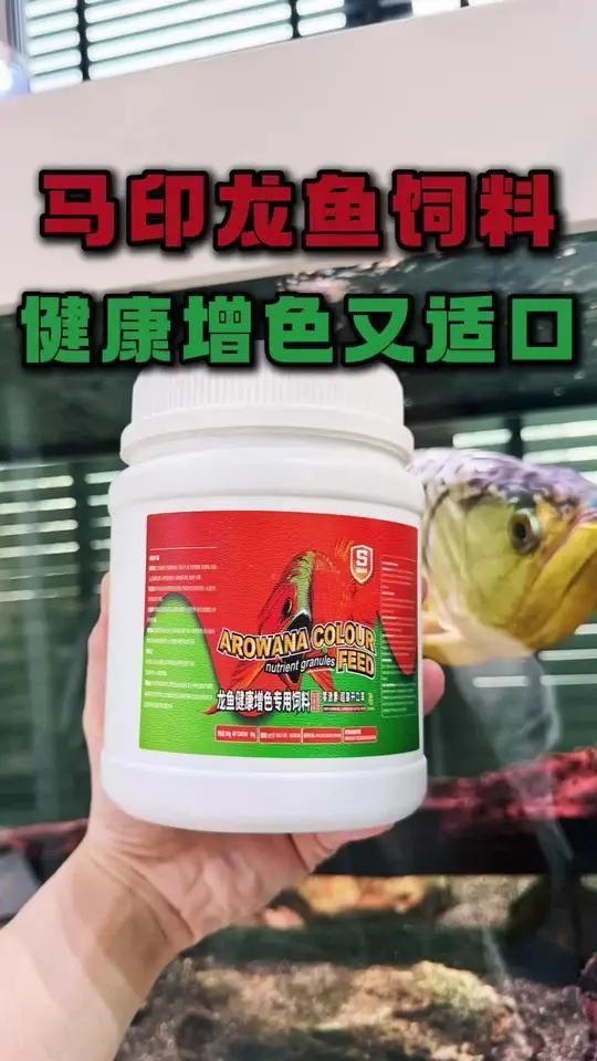 龍魚飼料對發(fā)色的作用