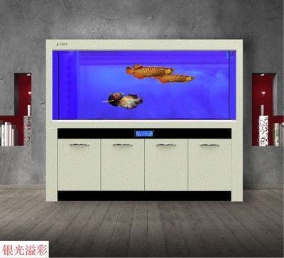 龍魚缸與錦鯉缸的區別