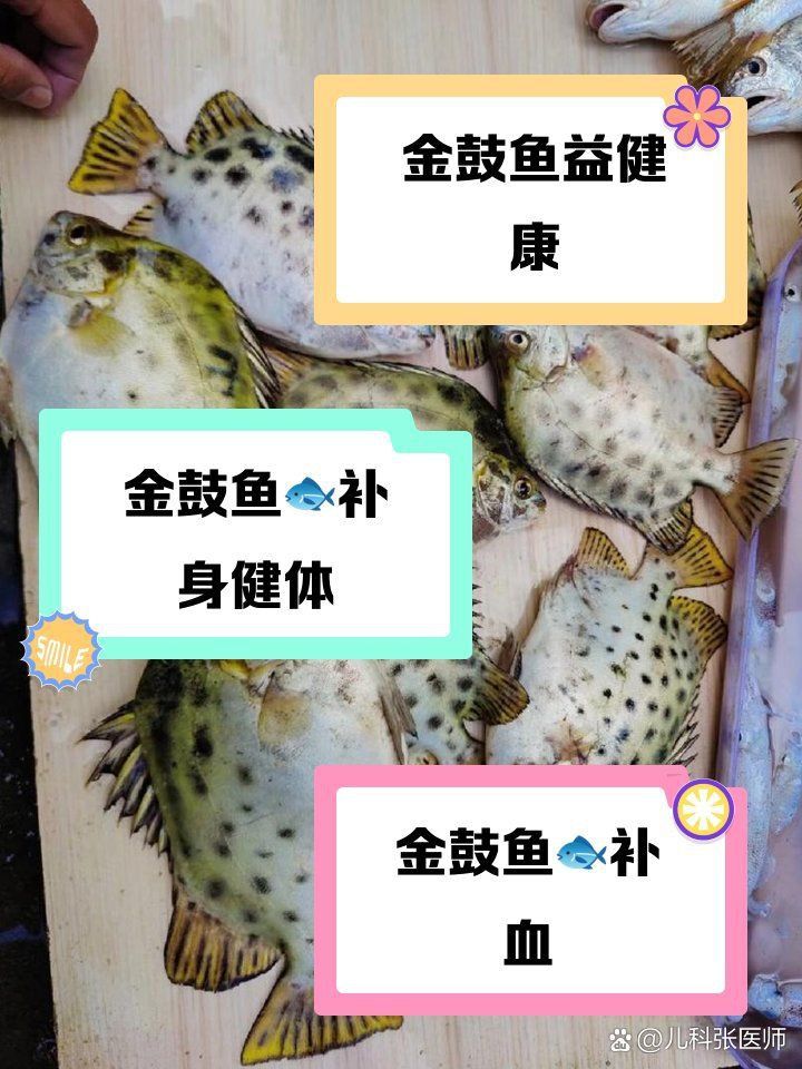 金鼓魚小孩子能吃嗎