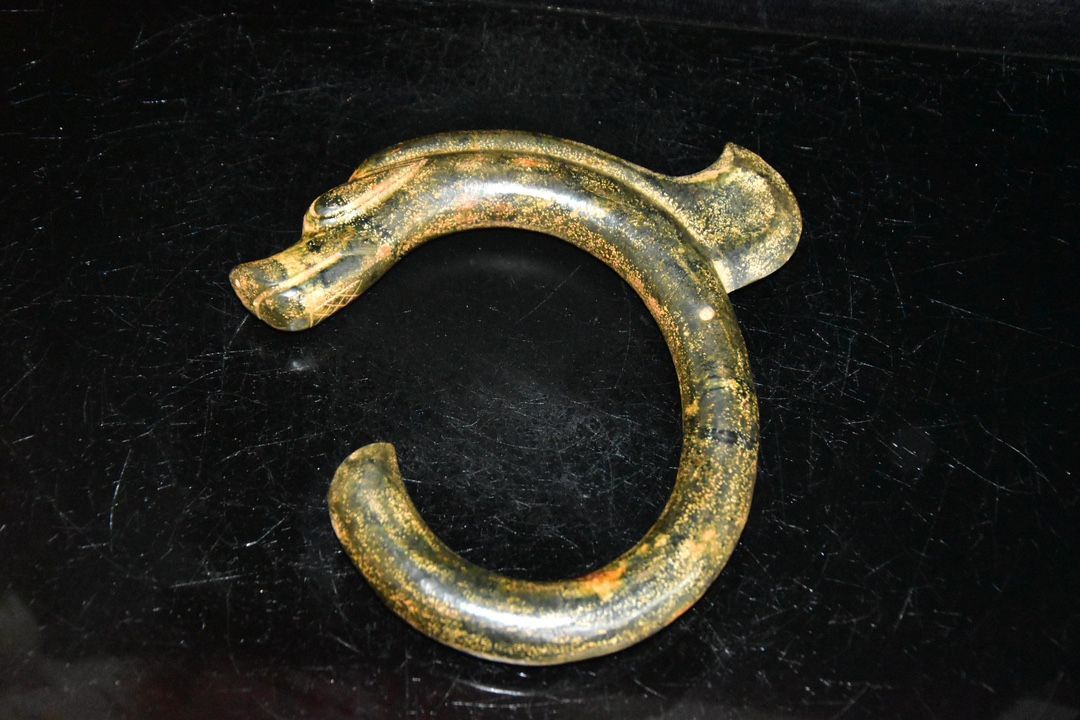 龍魚需要光照嗎？：龍魚光照需求的詳細分析