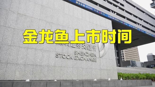 金龍魚是深圳股還是創業股