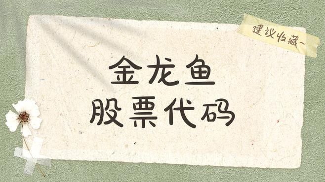 金龍魚是深圳股還是創業股