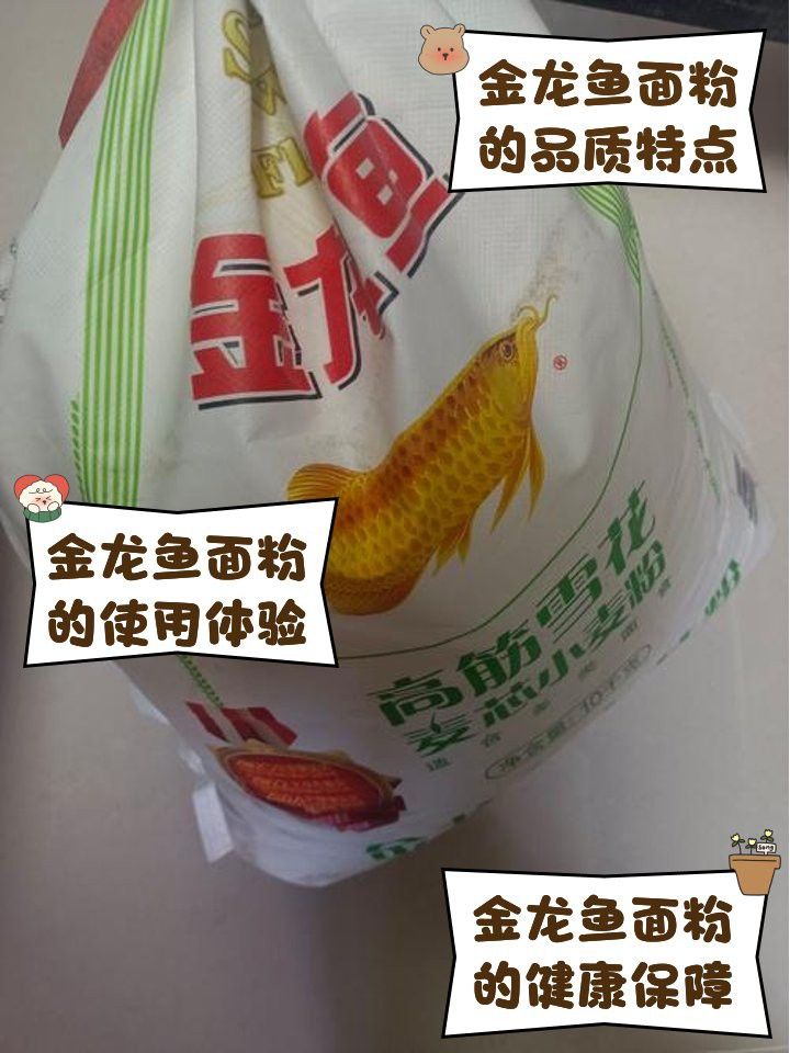 金龍魚(yú)掛面有添加劑嗎