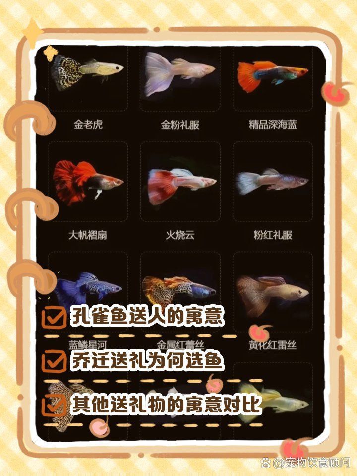 孔雀魚的寓意和象征