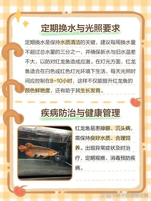 世界上最大的紅龍魚圖片大全欣賞