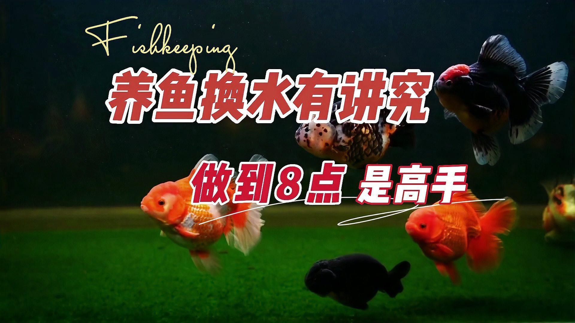 換水時如何保持水溫穩定？