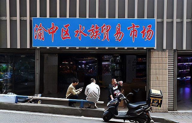 觀賞魚交易平臺對比