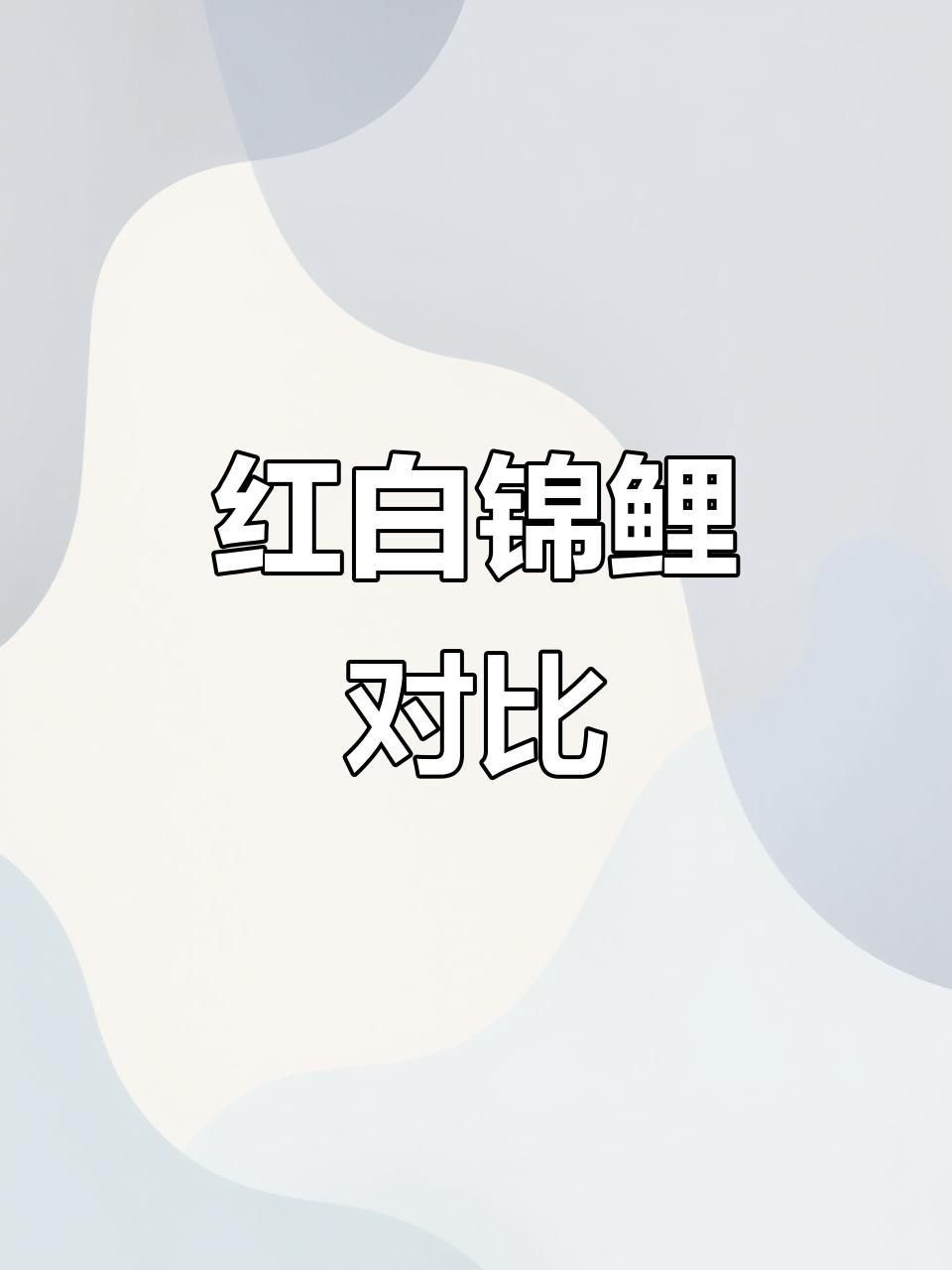 錦鯉三色和紅白哪個好