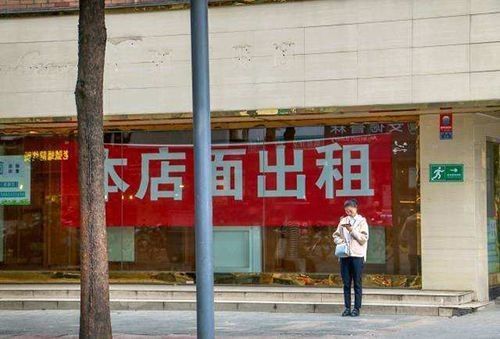 龍龍視頻如何盈利？