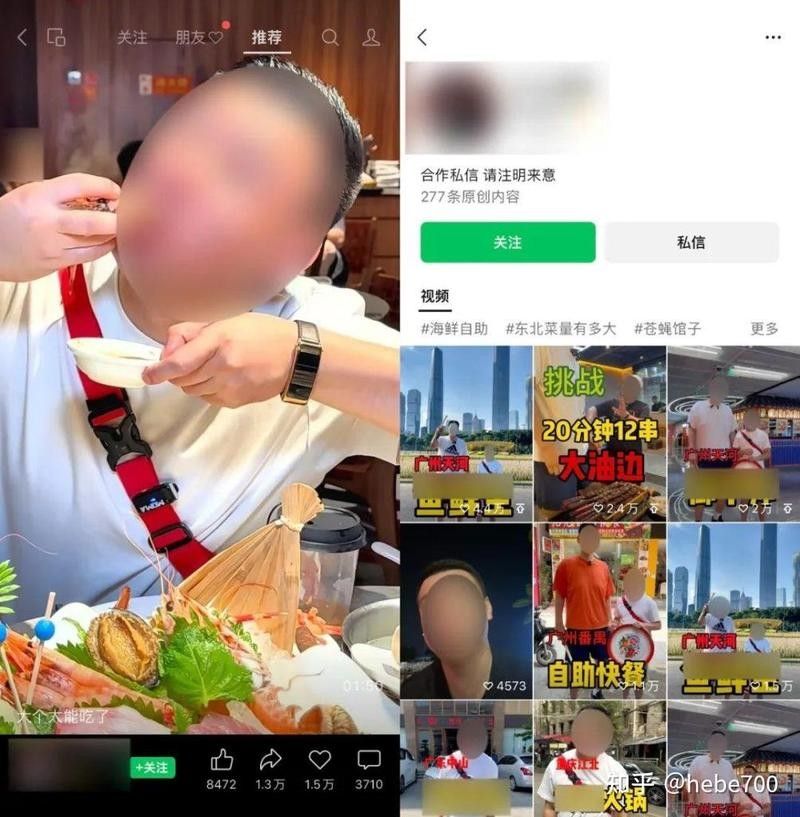 龍龍視頻如何盈利？