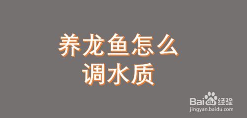 龍魚缸水質不好怎么處理方法，龍魚缸水質不好怎么辦