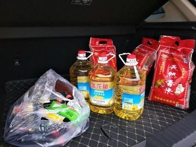 金龍魚白點白毛病藥怎么用：金魚白點病怎么治
