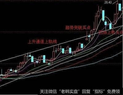 股市金龍魚歷史最高價(jià)是多少（金龍魚歷史最高股價(jià)出現(xiàn)在2021年1月11日）