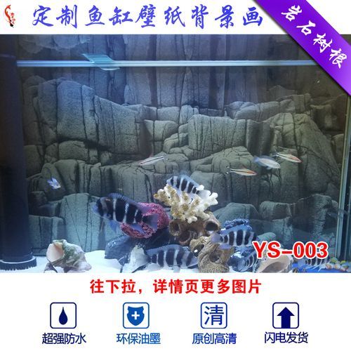 龍魚(yú)缸如何造景（龍魚(yú)缸造景的關(guān)鍵要素和步驟）