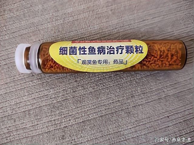 龍魚(yú)黃粉和土霉素能一起使用嗎？