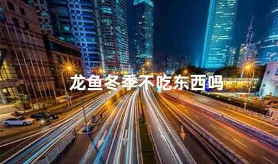 龍魚冬天不加溫能否存活（龍魚冬天不加溫怎么辦）