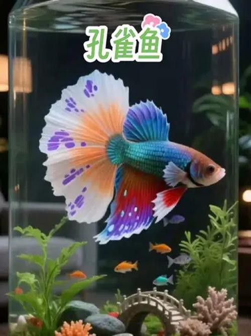 能再推薦幾種混養魚種嗎？