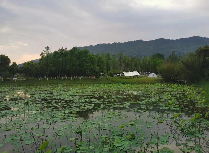 哪里可以找到龍水湖的霞光圖片？