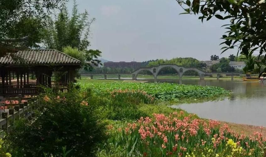 哪里可以找到龍水湖的霞光圖片？