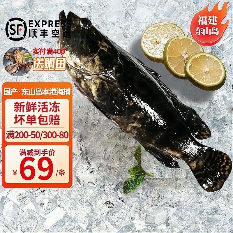 龍躉石斑魚的價格是多少？ 龍躉石斑魚的價格是多少？ 龍魚百科 第9張