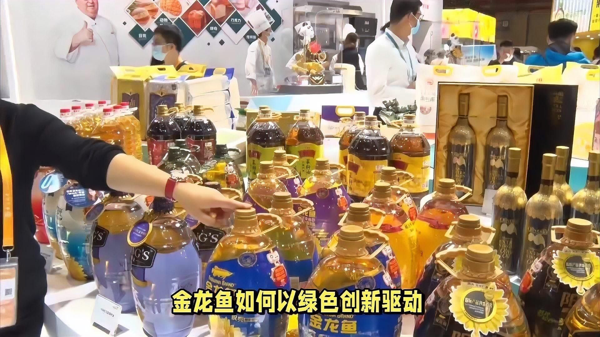 金龍魚回收政策是什么？