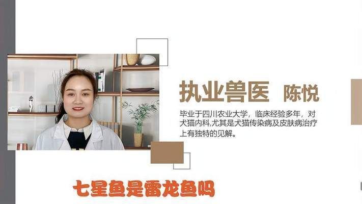 七星魚和雷龍魚哪個更好看，七星魚和雷龍魚混養注意事項七星魚與雷龍魚混養注意事項