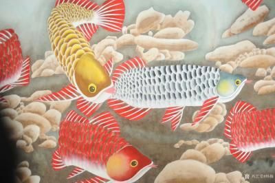 金龍魚豎著游怎么回事